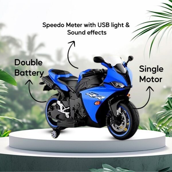RR & R1 - Non Painted - Image 3
